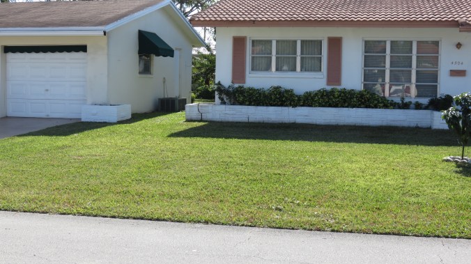 Our neighbor's front yard is like a blank slate.