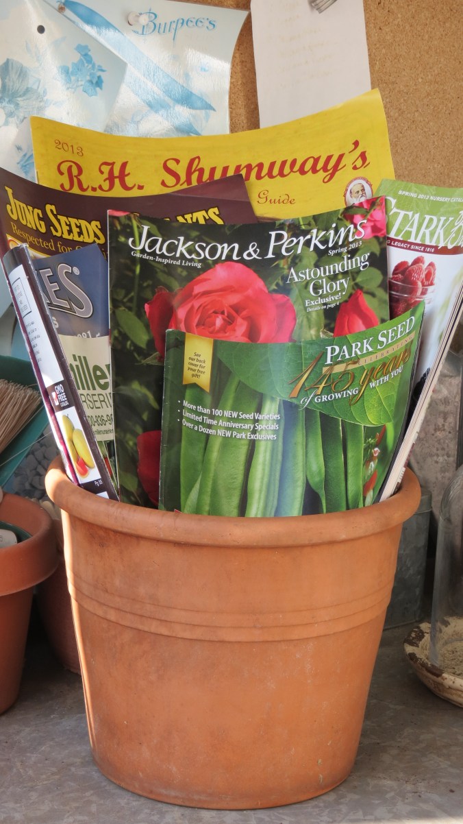 Seed Catalogs