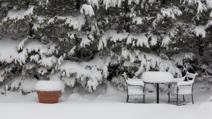 Time to dust myself off . . .