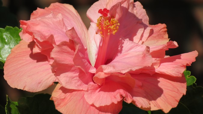 "Why don't you come up and see me?"