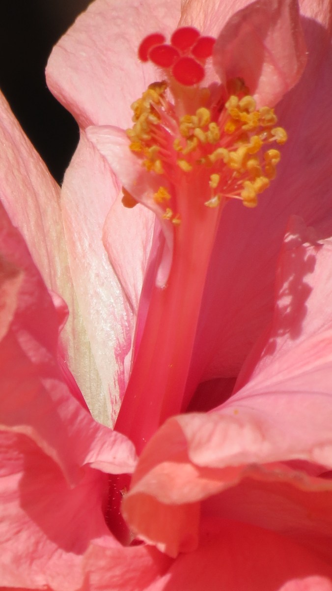 "Is that a stamen in your pocket or are you just happy to see me?"