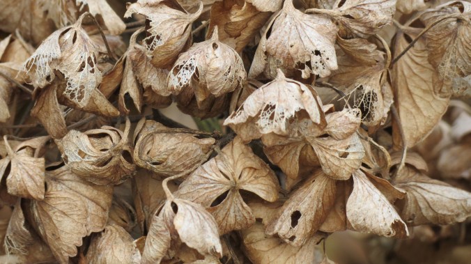 Every time when I look in the mirror, All these lines on my face getting clearer. . . Aerosmith, "Dream On"