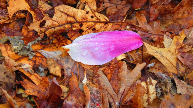 Time, time, time, See what's become of me. . . Simon & Garfunkel, "Hazy Shade of Winter"