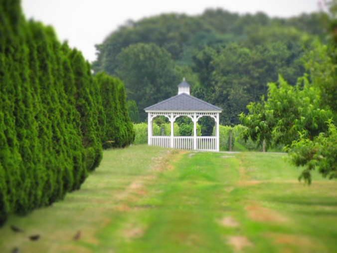 Martha Clara Vineyards