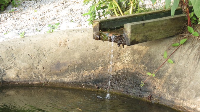 Laura and Paul discovered a natural spring, which they channeled into a small pool.