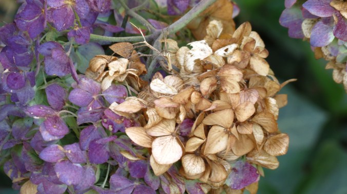 It was a great season.