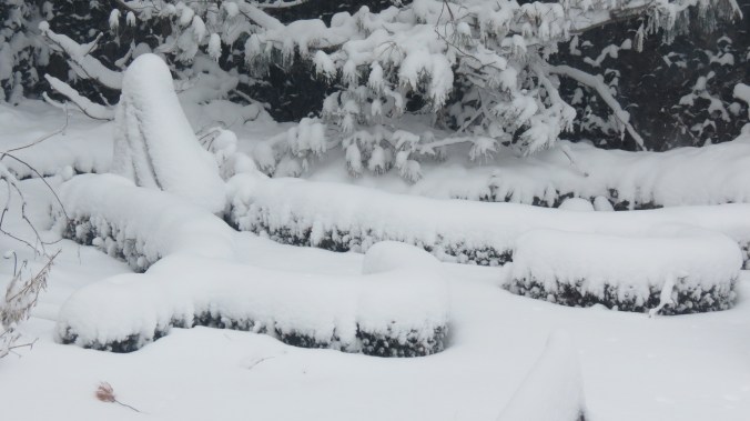 This weather is one of the main reasons I created my version of a knot garden.