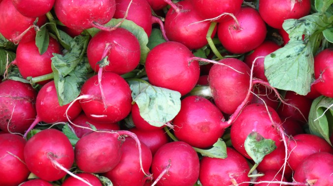 Radishes.