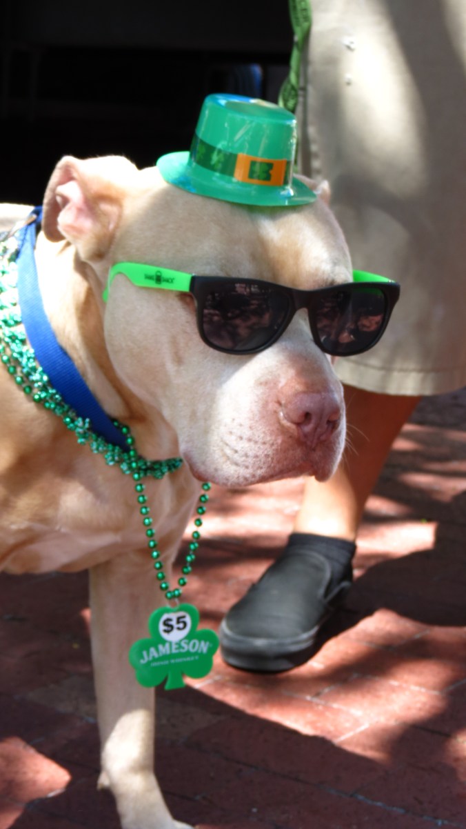 Happy St. Patrick's Day.