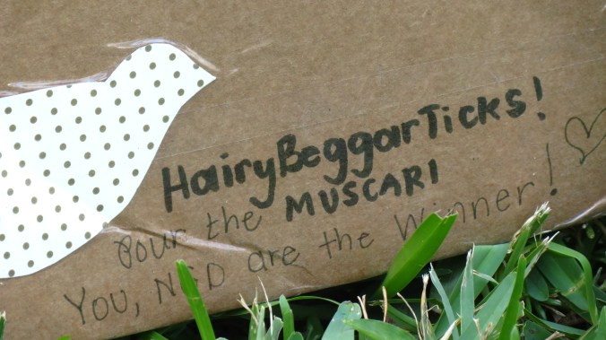 The box was decorated with bird cutouts and references to past tweets.