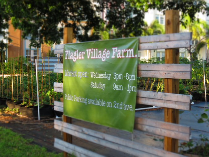 Flagler Village Farm