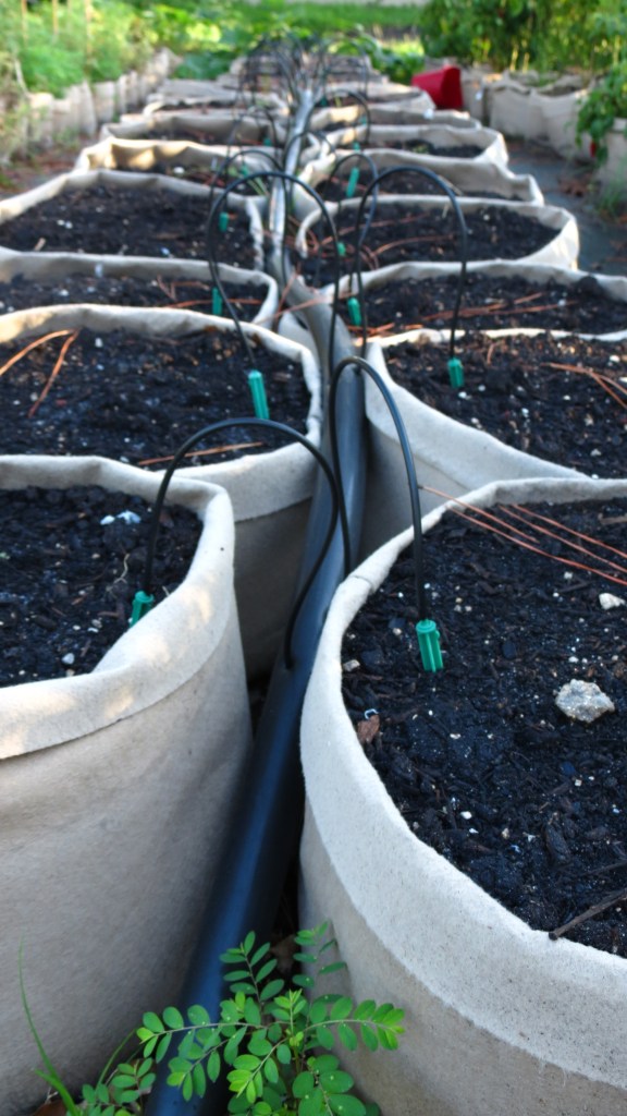 The watering system.