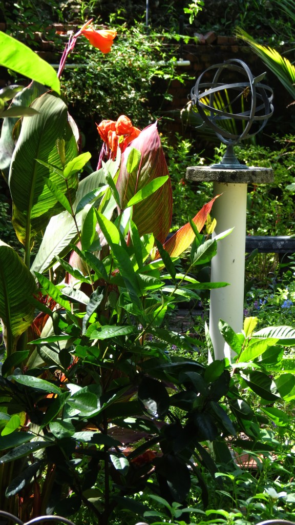 The butterfly garden.