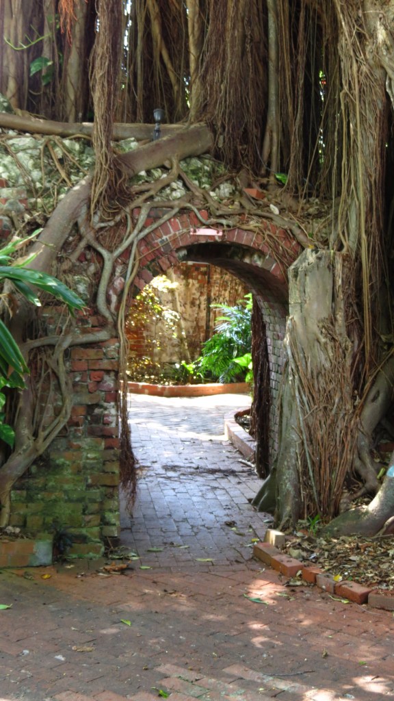 A piece of the old wall is able to support the weight of a massive tree.