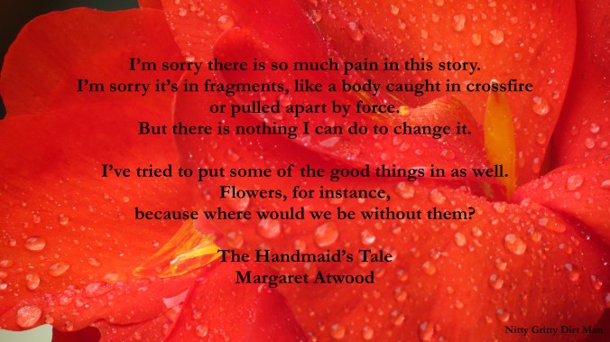 Canna Belgium 2 copy