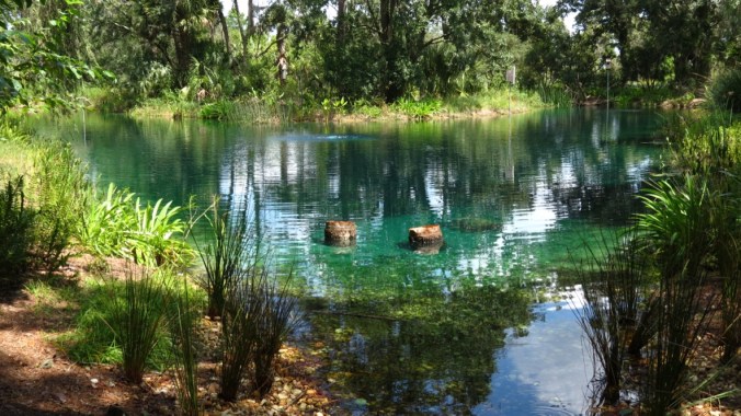 The view from the window by the pond, a place to sit and observe wildlife.