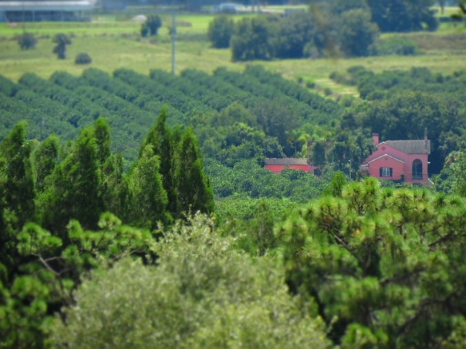 The view from the overlook. 