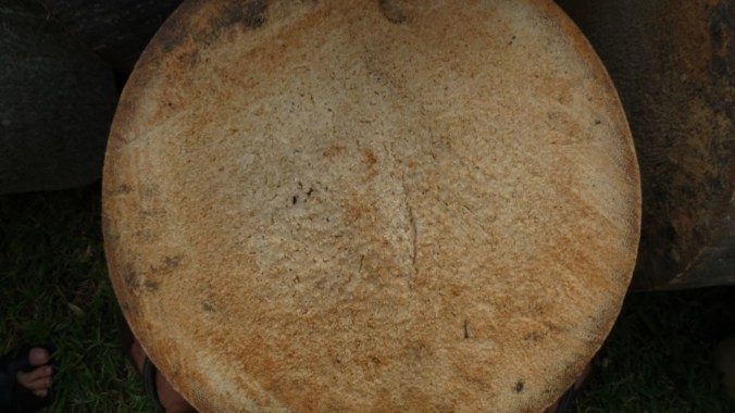 There aren't any rings to count to determine the age of the royal -- or any palm, for that matter.