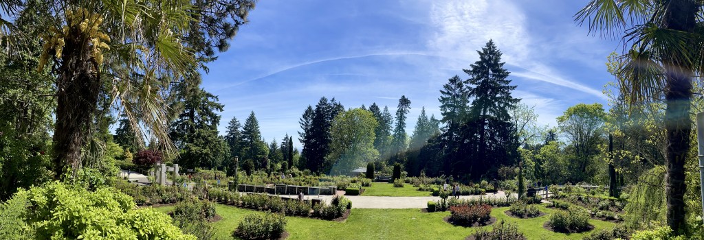 Rose Test Field Trip: International Rose Test Garden | Nitty Gritty Dirt Man